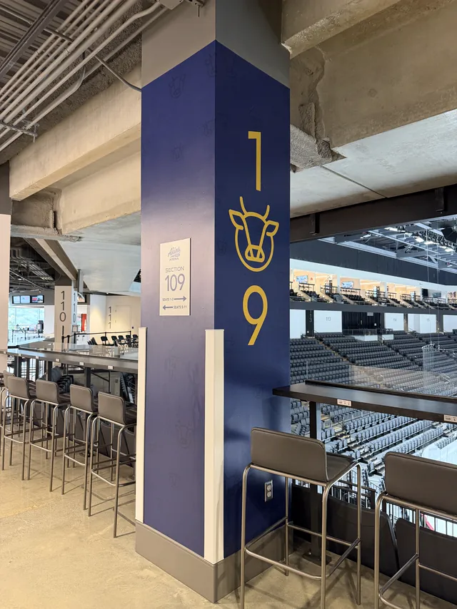 Stadium wall graphics
