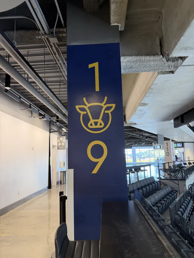 Stadium wall graphics
